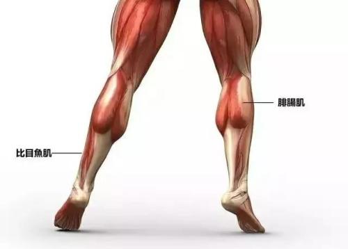 Ȳ