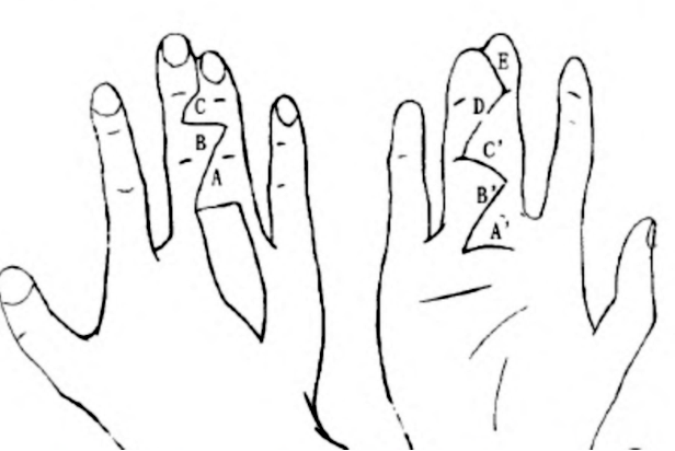 ָ