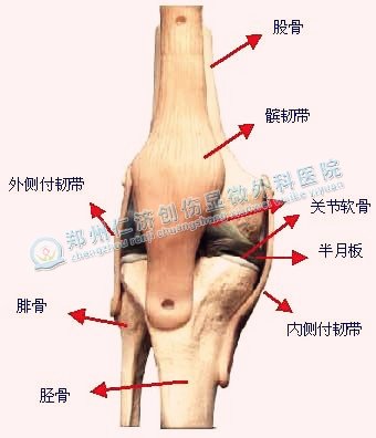 半月板损伤的治疗费用