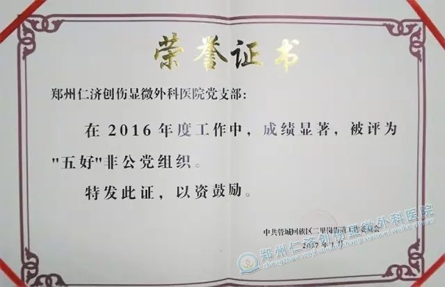 祝贺郑州仁济医院党支部荣获“‘五好’非公党组织”殊荣
