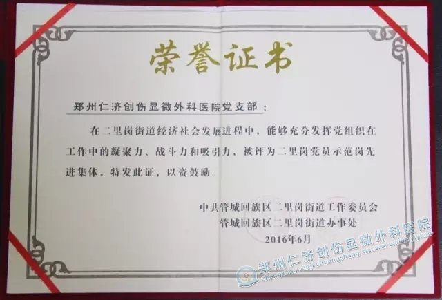 祝贺郑州仁济医院党支部荣获“‘五好’非公党组织”殊荣