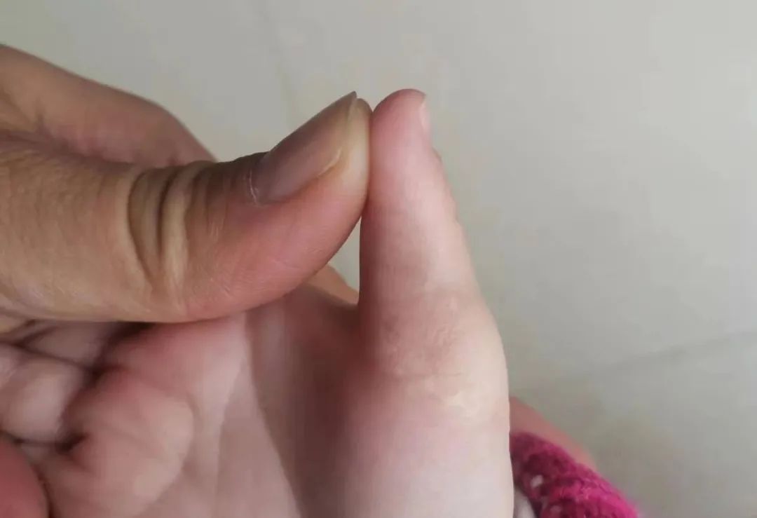 ͼƬ