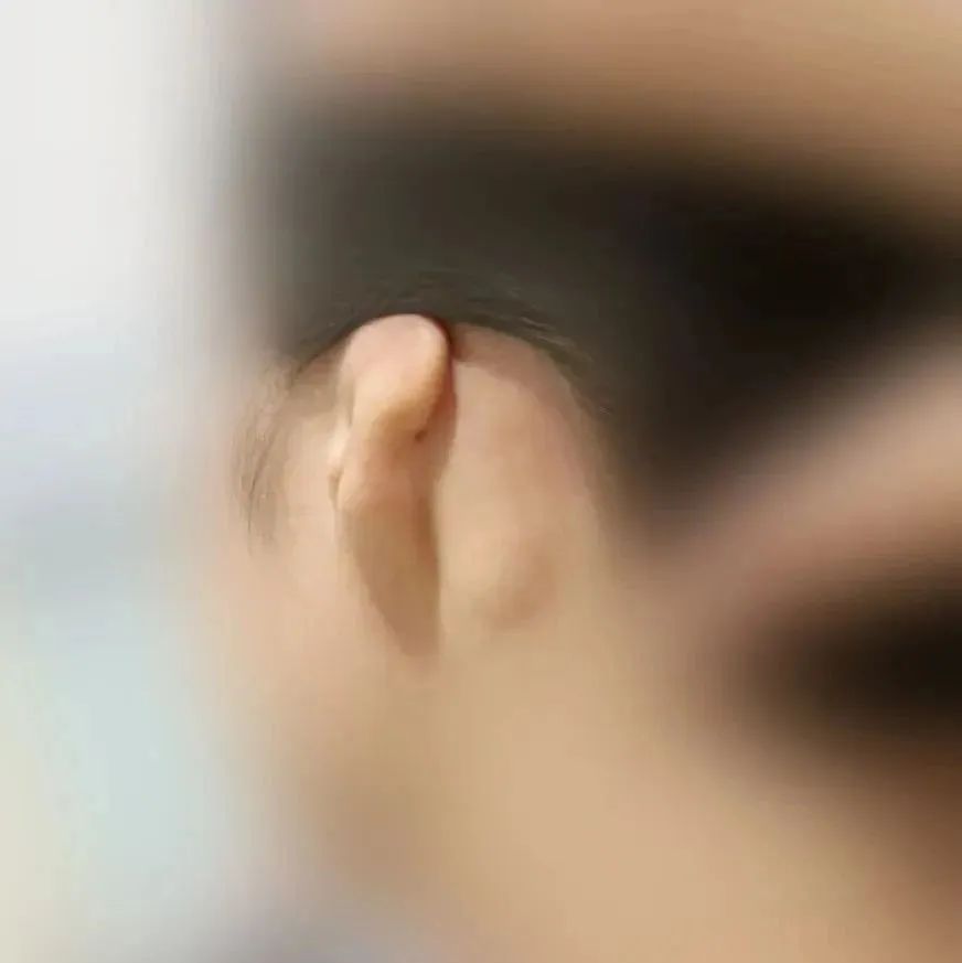 ͼƬ