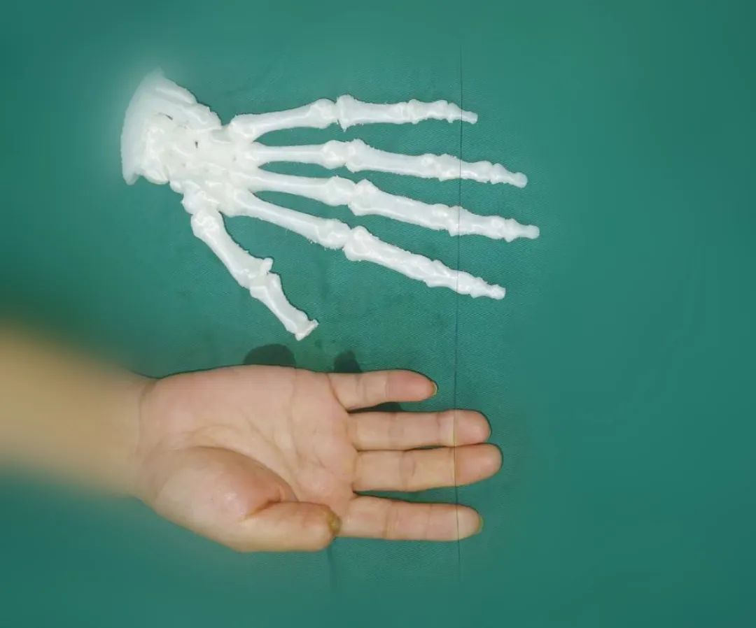 ͼƬ