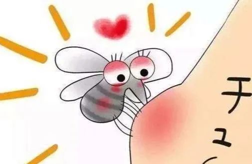 ͼƬ