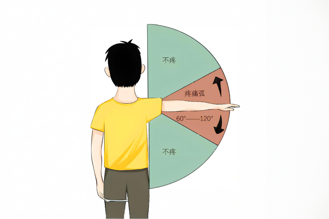 ͼƬ