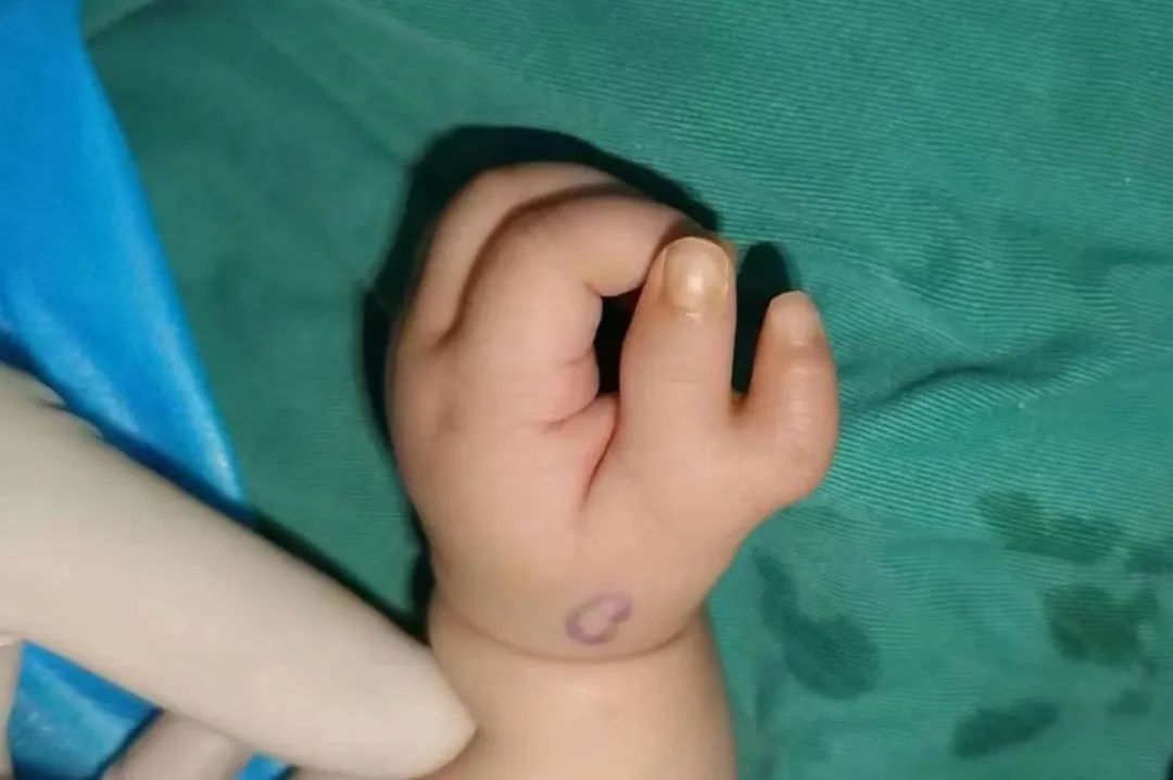 ͼƬ
