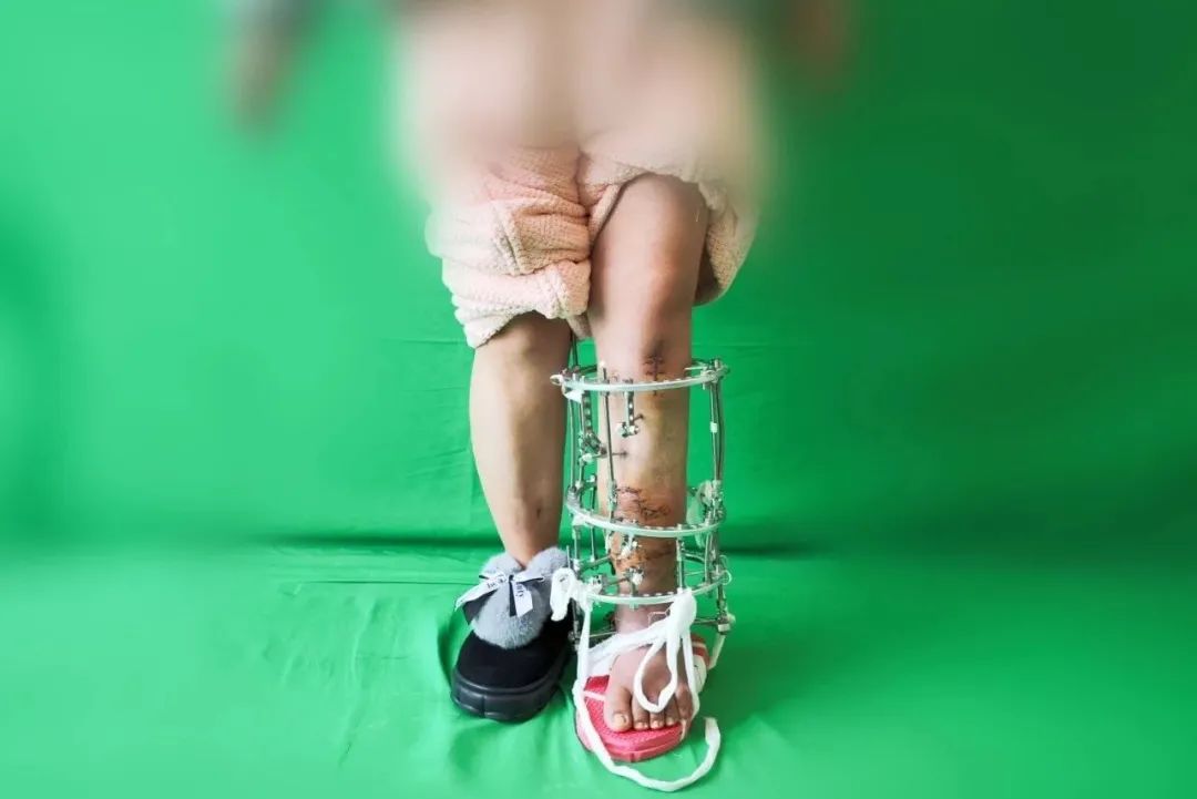 ͼƬ