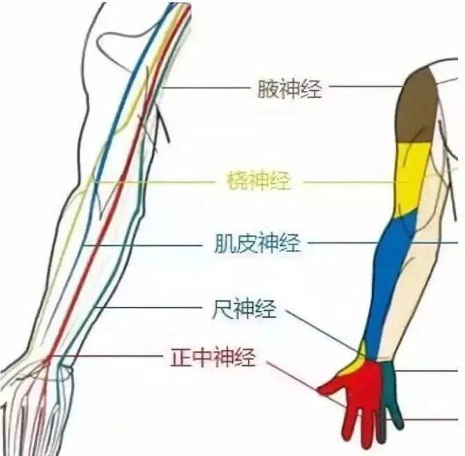 ͼƬ