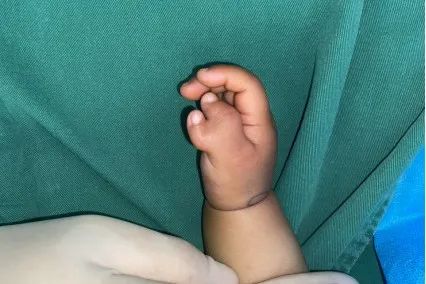 ͼƬ