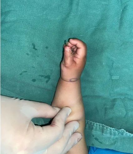 ͼƬ