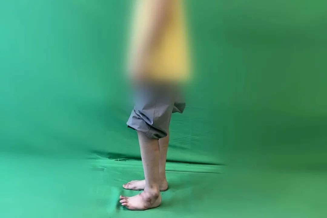 ͼƬ
