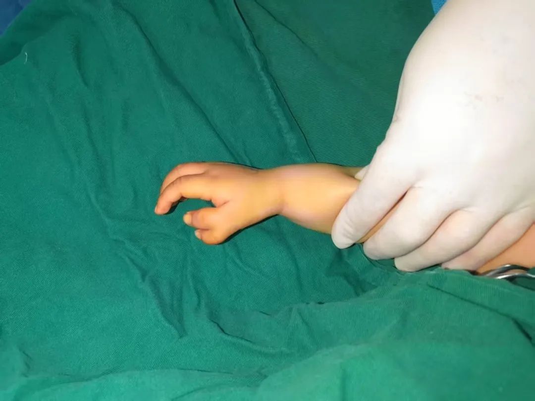 ͼƬ