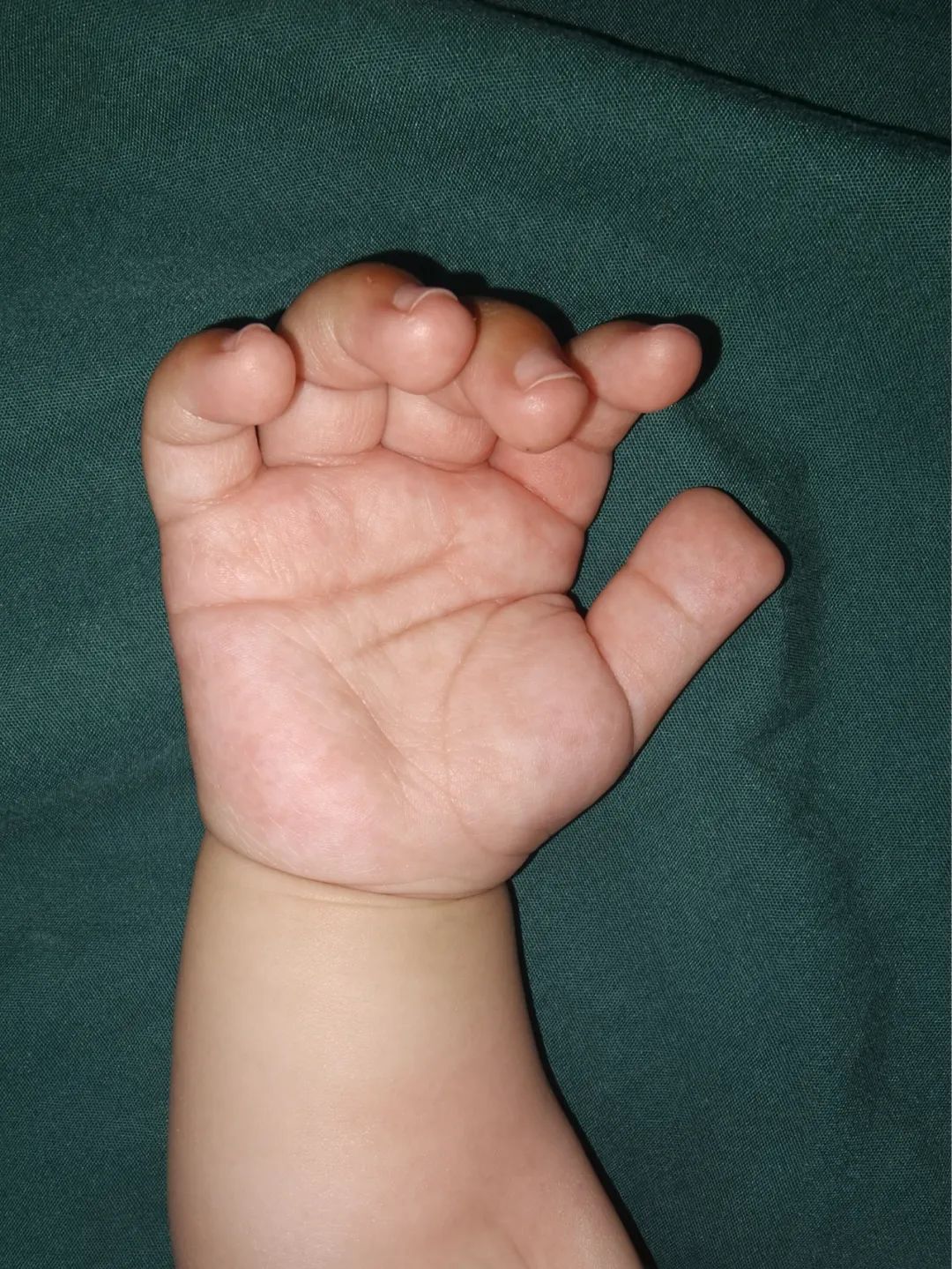 ͼƬ