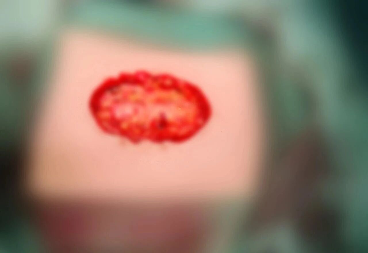 ͼƬ