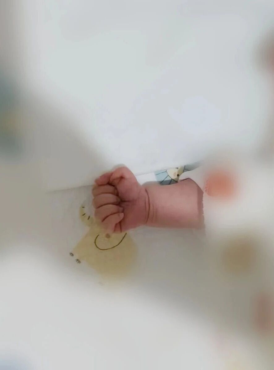 ͼƬ