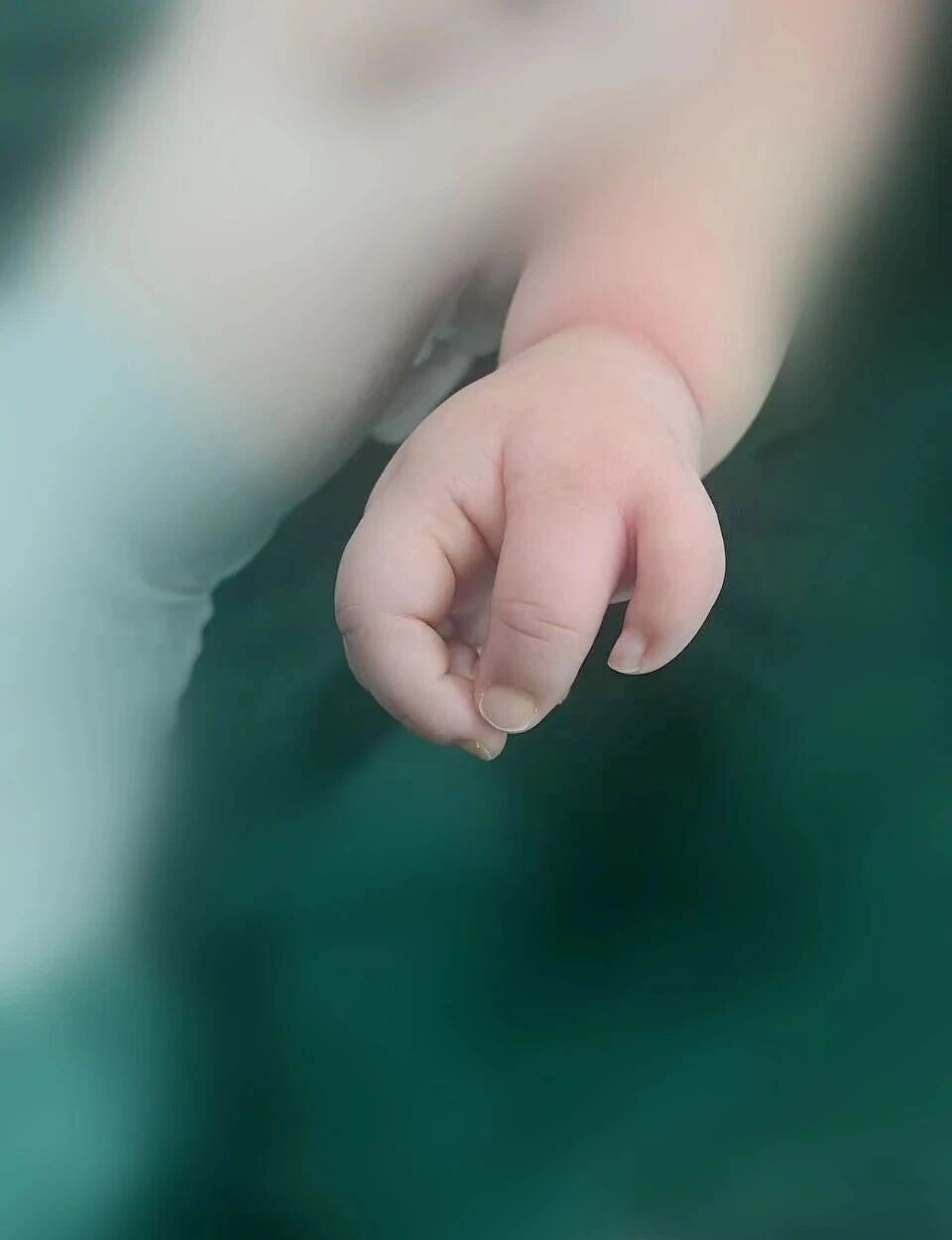 ͼƬ