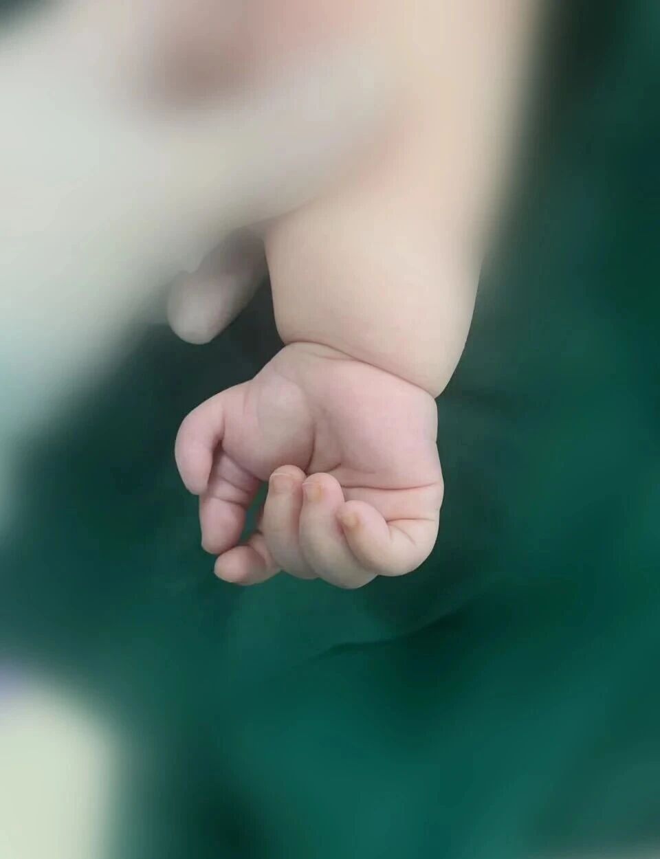 ͼƬ